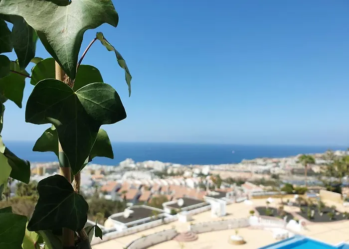 Luxus Meerblick Costa Adeje (Tenerife)