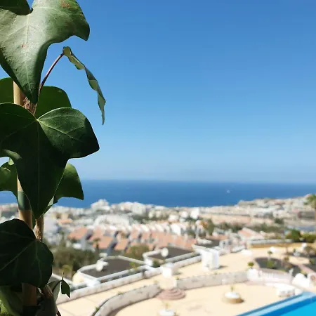 Luxus Meerblick Costa Adeje (Tenerife)